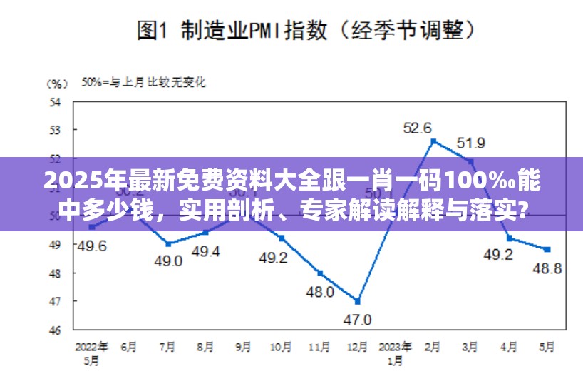 2025年最新免费资料大全跟一肖一码100‰能中多少钱，实用剖析、专家解读解释与落实?