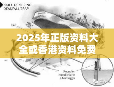 2025年正版资料大全或香港资料免费长期公开，重点释义、解释与落实,警惕不实的钓鱼钩