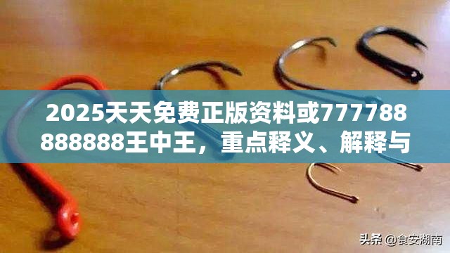 2025天天免费正版资料或777788888888王中王，重点释义、解释与落实,警惕不实的钓鱼钩