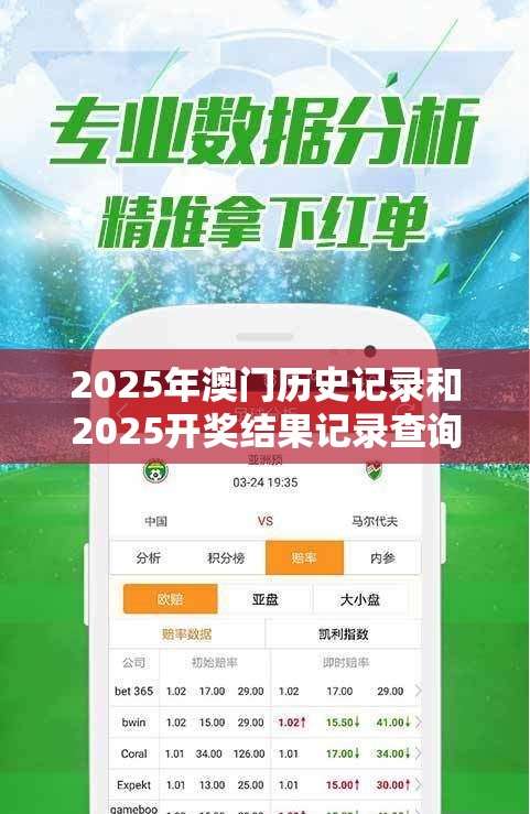 2025年澳门历史记录和2025开奖结果记录查询，基础释义、专家解析解释与落实?杜绝虚假诱导词