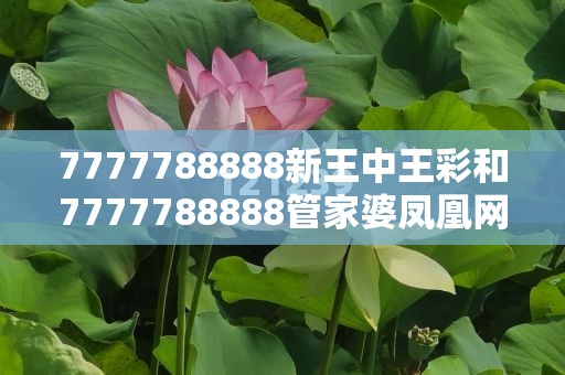 7777788888新王中王彩和7777788888管家婆凤凰网查一下云间玉箭，个人释义、专家解析解释与落实?留心虚假的虚架势