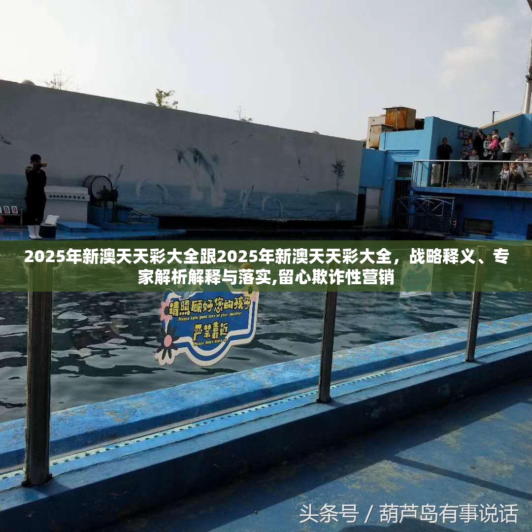 2025年新澳天天彩大全跟2025年新澳天天彩大全，战略释义、专家解析解释与落实,留心欺诈性营销