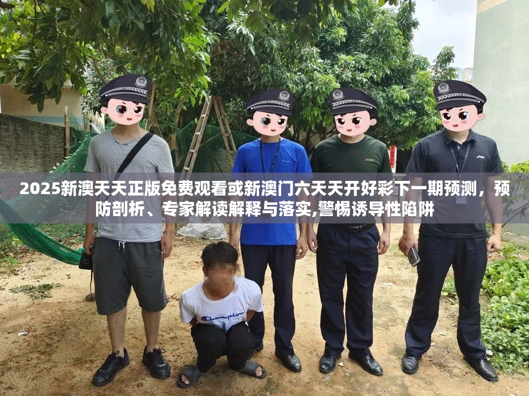 2025新澳天天正版免费观看或新澳门六天天开好彩下一期预测，预防剖析、专家解读解释与落实,警惕诱导性陷阱